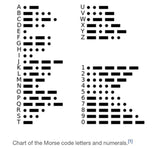 BUGLE BEAD Morse Code Necklace