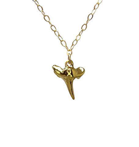 Tiny Shark Tooth Necklace