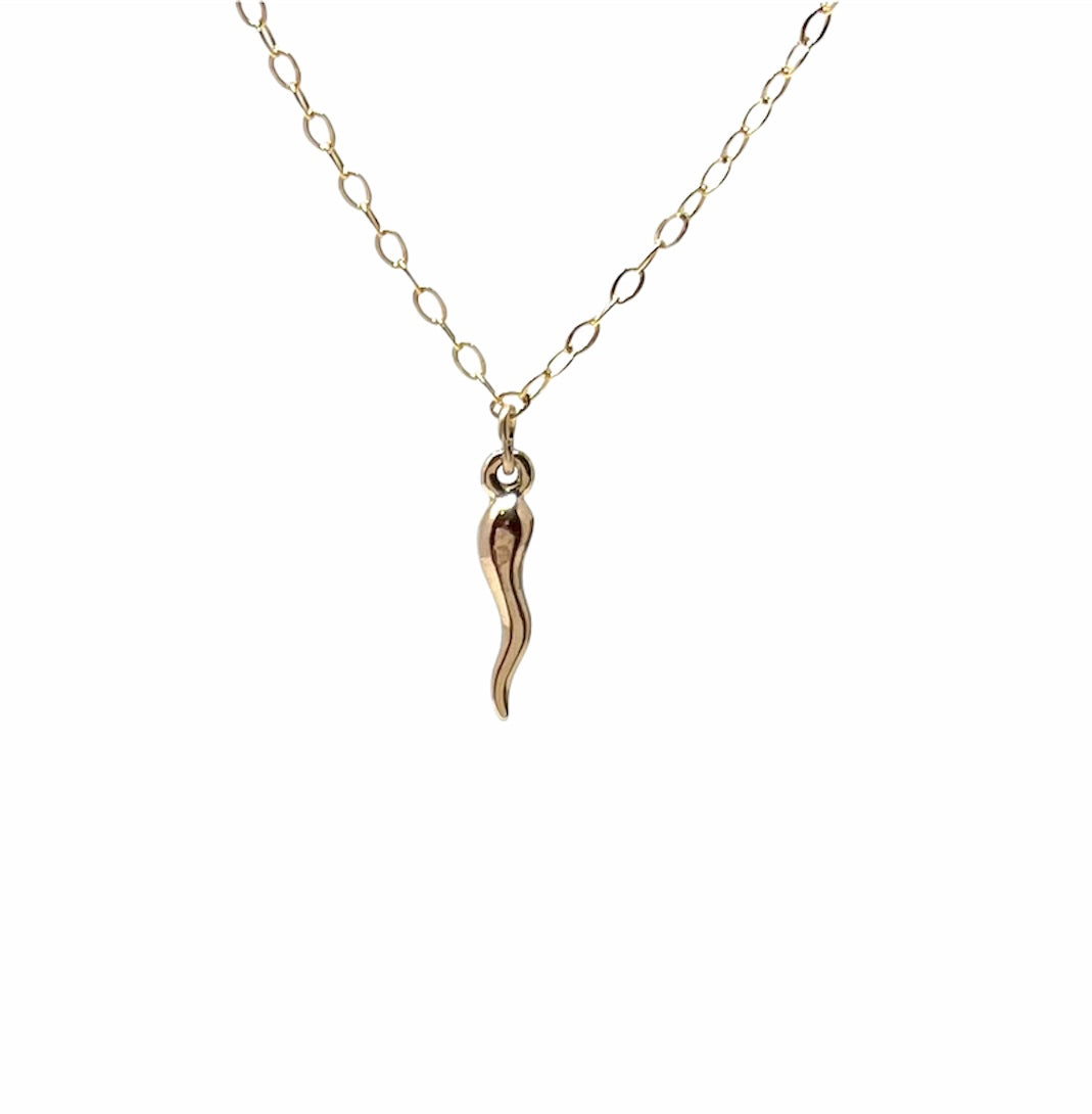 Italian Horn Necklace – JENNY and JUDE