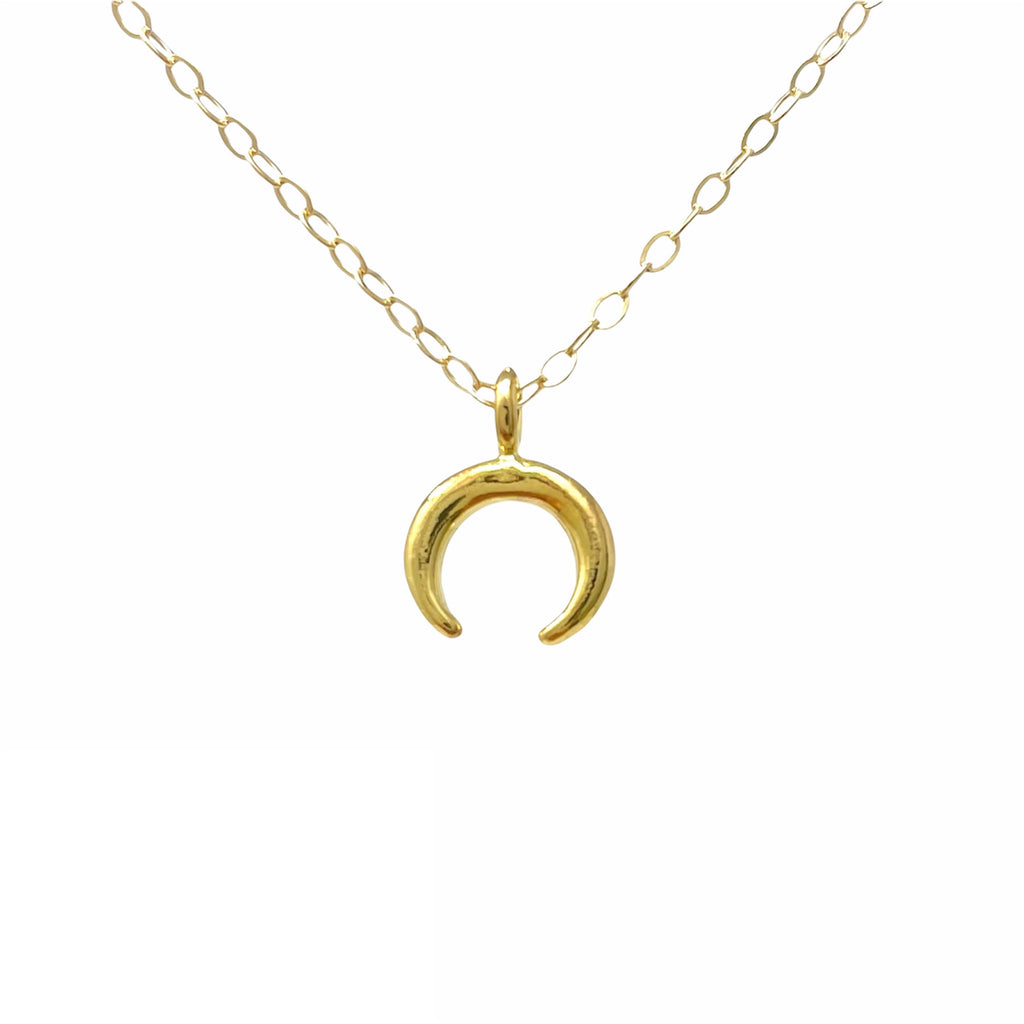 Tiny Double Horn Necklace