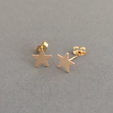 Star Post Earrings